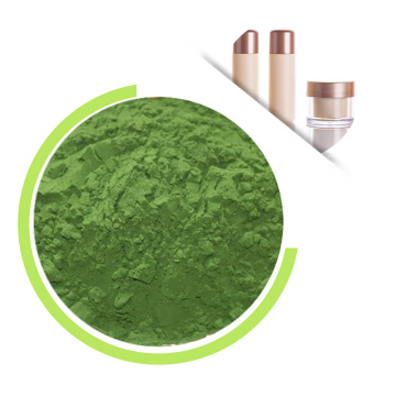 OEM Organic Chlorella powder Chlorella vulgaris From China